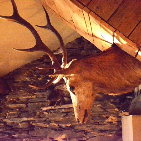 In With Terrace Дом отдыха *